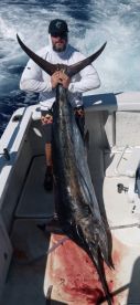 Kailua Report Photo 3