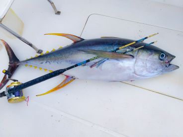 Le Morne Report Photo 1