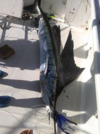 Le Morne Report Photo 2