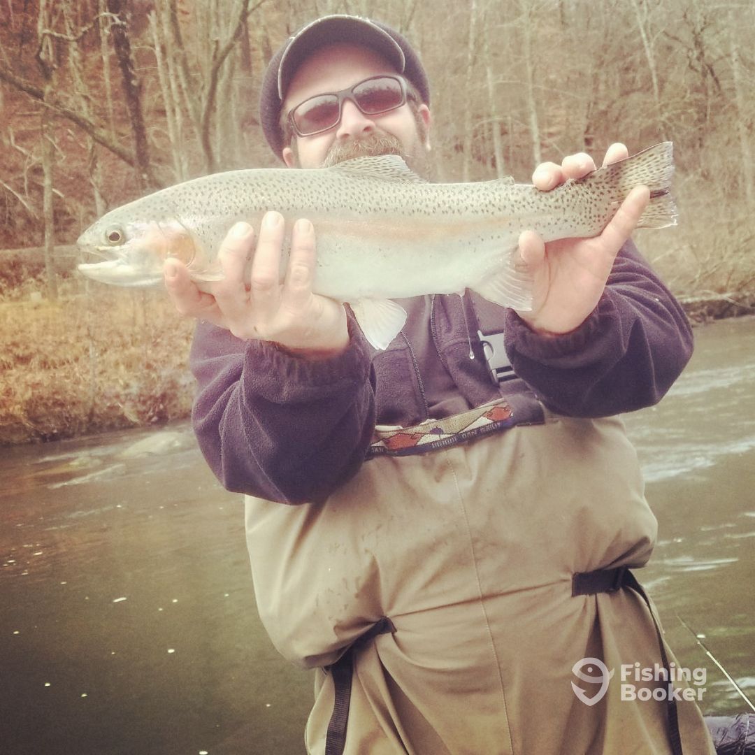 North Georgia Report Photo 0
