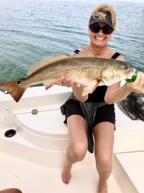 Punta Gorda FL & Carlotte Harbor Report