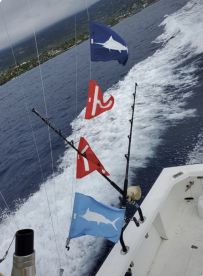 Kailua-Kona Report Photo 2