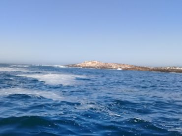 Leaving the Eiland and returning to harbour.