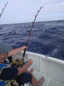 Le Morne Report Photo 2