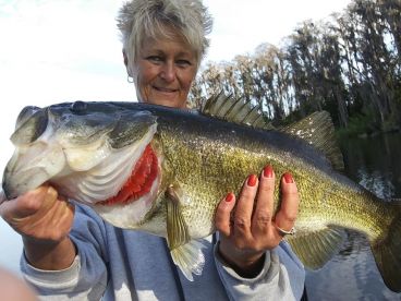 Florida bass charter