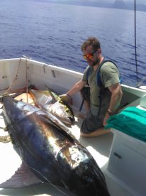 Le Morne Report Photo 1