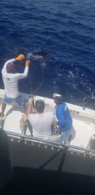 Tamarindo Report Photo 1
