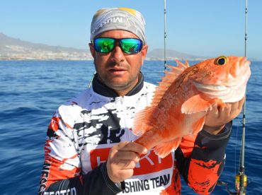 Costa Adeje Report Photo 3
