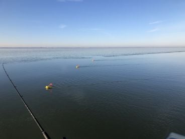 Lorain Report Photo 2