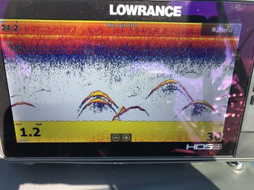 Lorain Report Photo 3