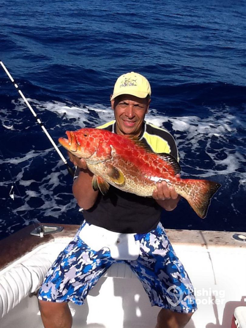 Beautiful Red Grouper caught 200 feet of water
