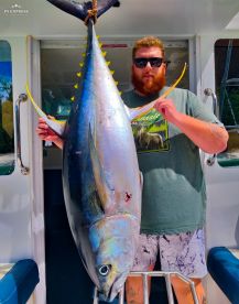 Le Morne Report Photo 3