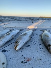 Temps starting to warmup