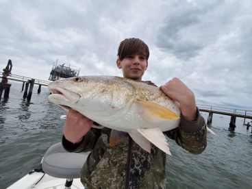 Chauvin Report Photo 4