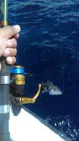 San Miguel De Cozumel Report Photo 2