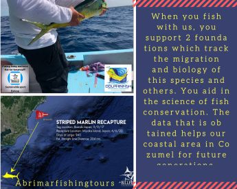 San Miguel De Cozumel Report Photo 1