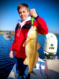 Ocean Springs Report Photo 1