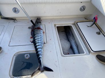 Winter time fishing - heating up!!
