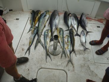 Nicaragua Report Photo 1