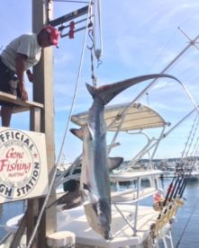 Montauk Report Photo 1