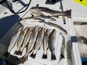 Cedar Key Report Photo 1