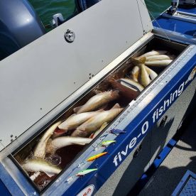 Saginaw Bay Report Photo 1