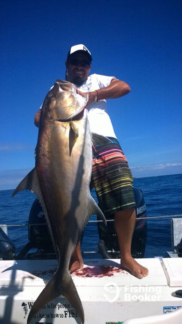 Puerto Vallarta Report Photo 0