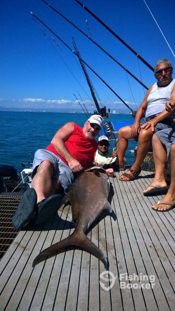 Puerto Vallarta Report Photo 0