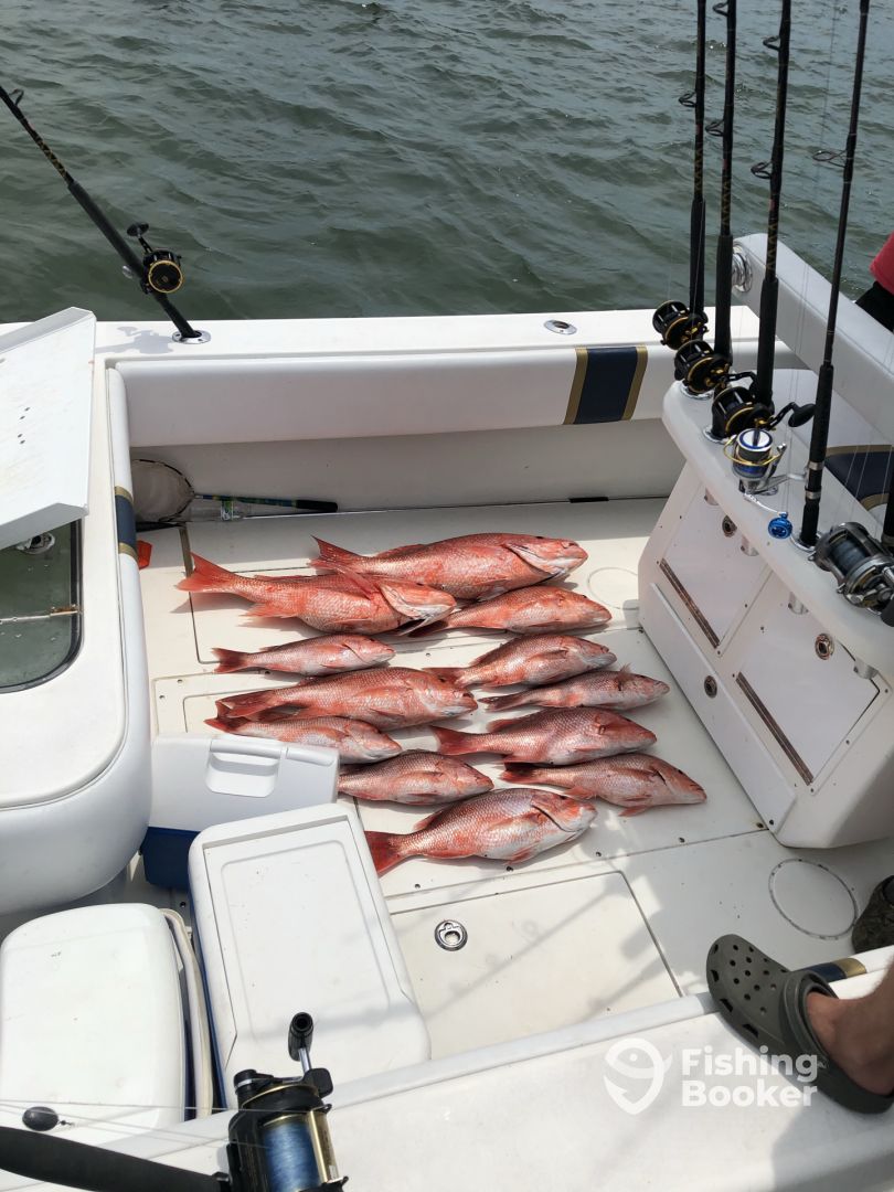 Gulf Shores Report Photo 0