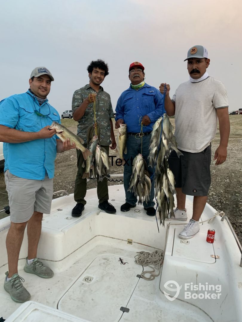 Falcon Lake Report Photo 0