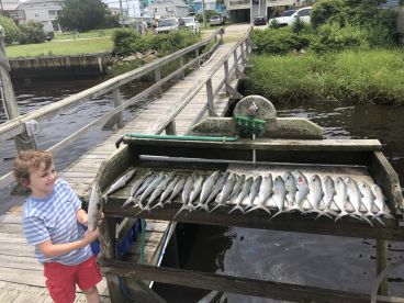 Carolina Beach Report Photo 1