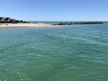 Ocean City Report Photo 2