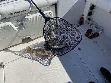 Ashtabula County Report Photo 4