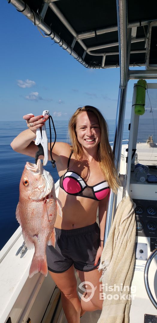 St. George Island Report Photo 3