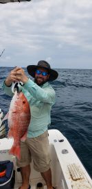 Apalachicola Report Photo 1