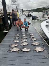 Virginia Beach Report Photo 2