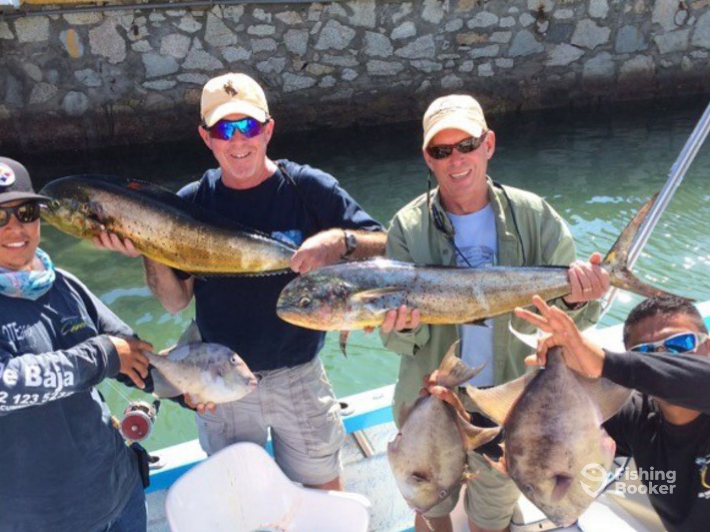 Dorado and Trigger Fish