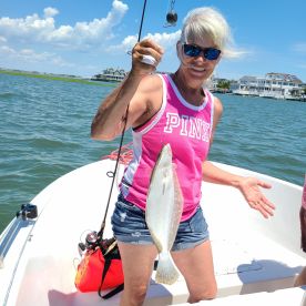 Delaware Bay Report Photo 2