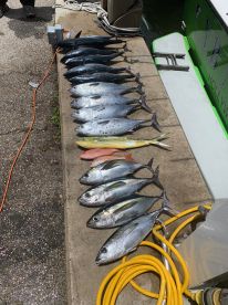 Dania Beach Report Photo 2