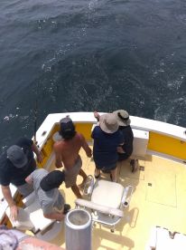 Wanchese Report Photo 2