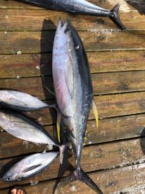 Hatteras Report Photo 2