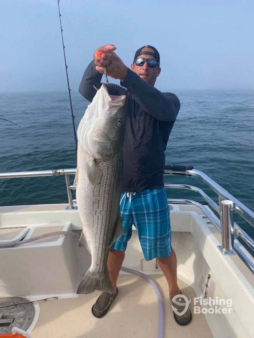 Montauk Report Photo 0