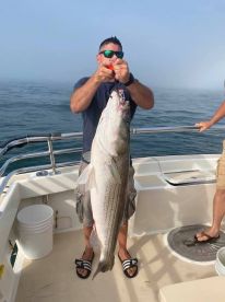 Montauk Report Photo 2
