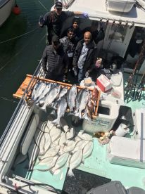 San Francisco Report Photo 2