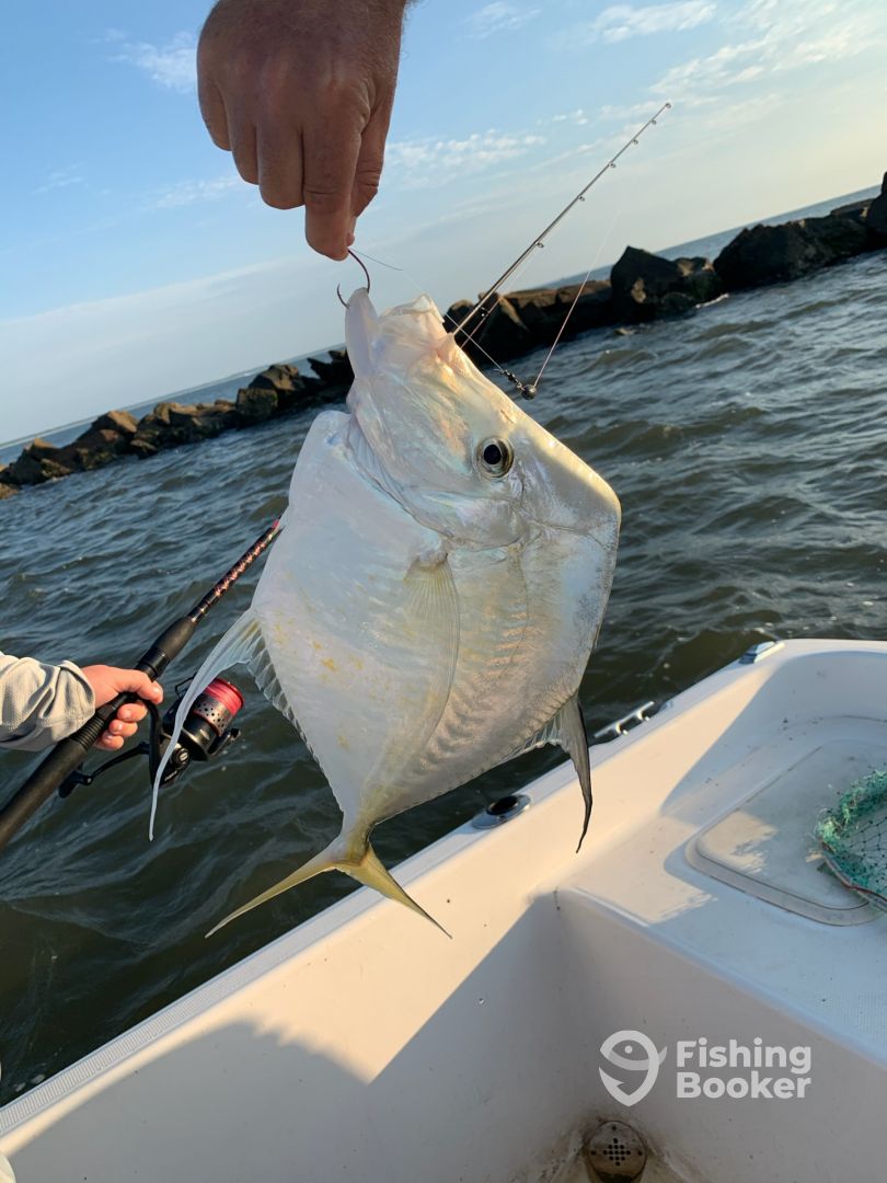Jekyll Island Fishing Report FishingBooker