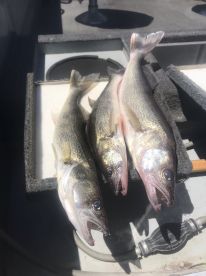 Colorado Report Photo 1