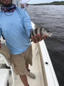 Holden Beach Report Photo 2