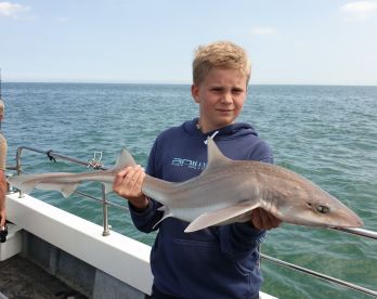United Kingdom Report Photo 2