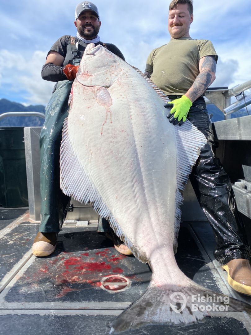 Seward Report Photo 0