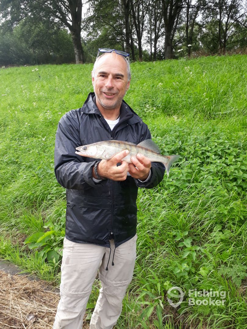 Netherlands Report Photo 0